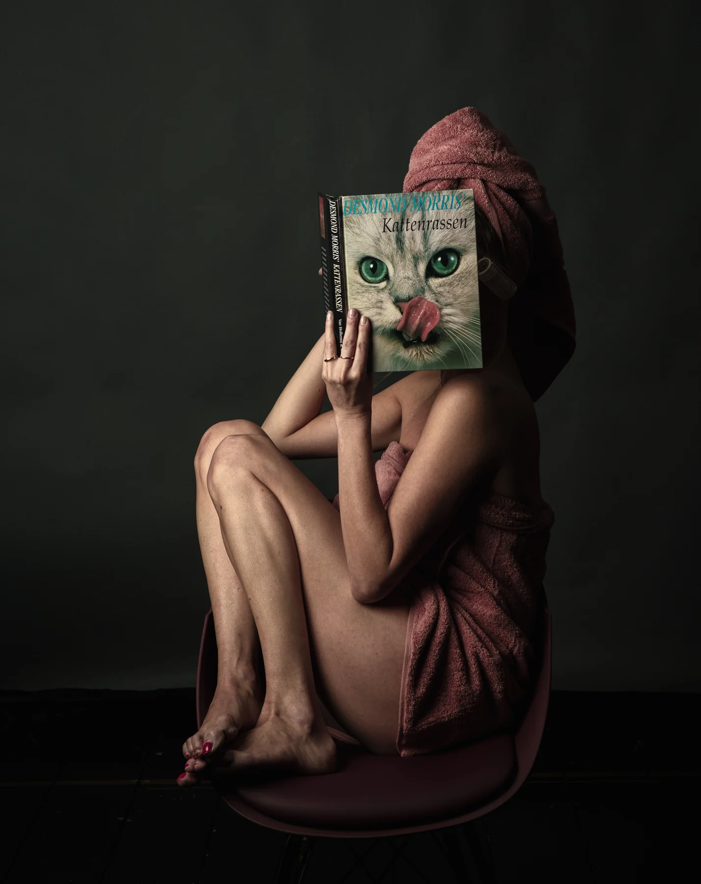 The cat book